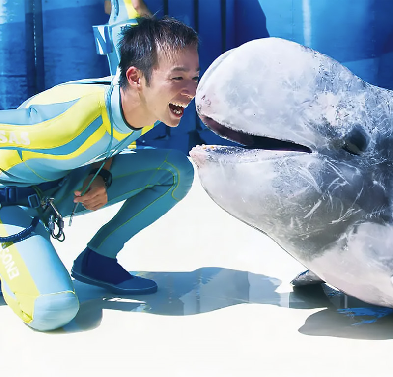 東京ECO動物海洋專門學校