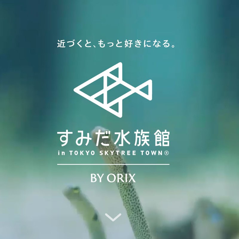 墨田水族館 雙人招待券