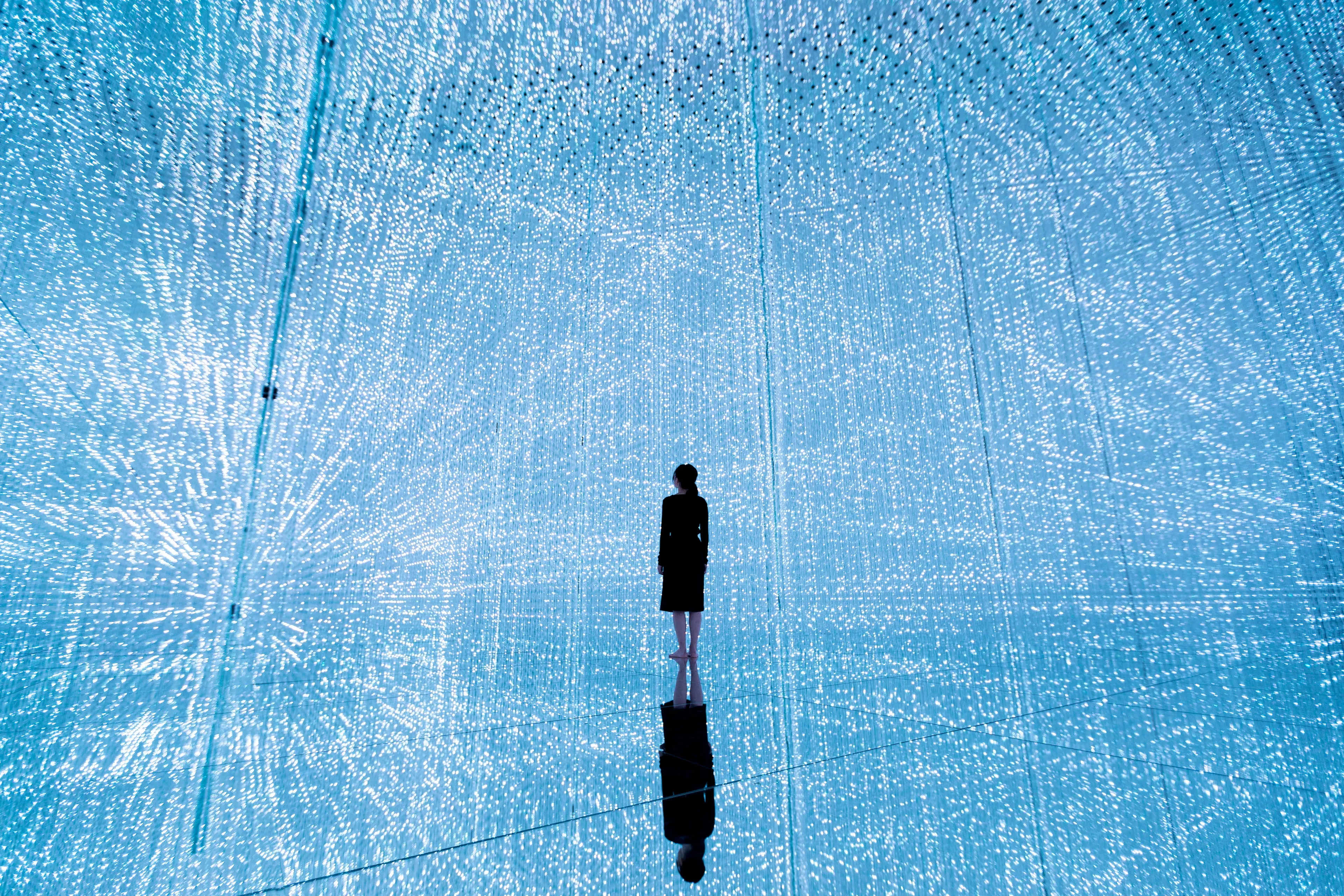 2025寒假東京觀光走透透與文化體驗~迪士尼、TeamLab、和服與茶道體驗